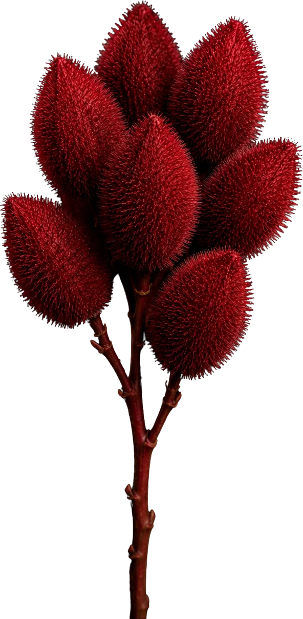 Galho de flores vermelhas aveludadas