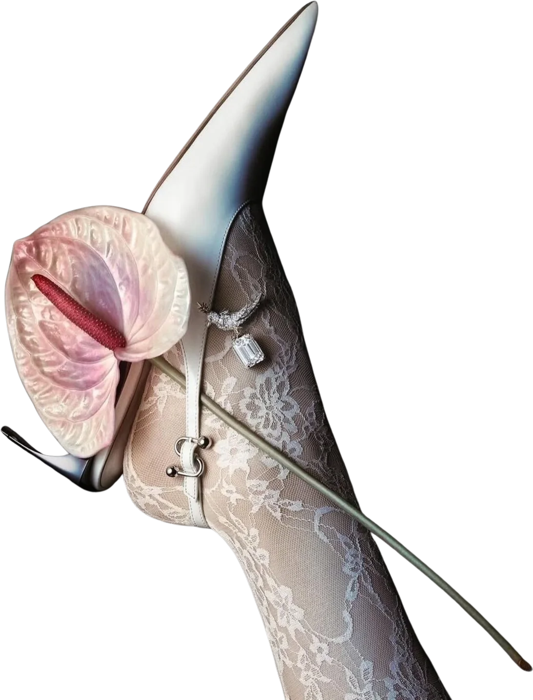 Perna com meia de renda e sapato de salto segurando um antúrio rosado